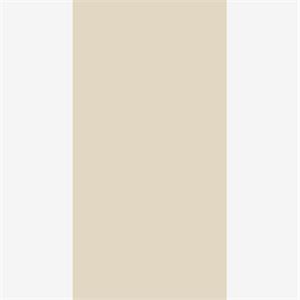 Revest Almeida 41x82 Real Beige Polido Ret. a Cx 2,01 M²